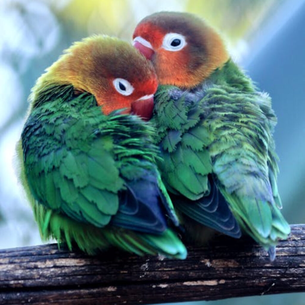 Khám Phá Thế Giới Giải Trí Tại Truyện Gay Ông Nơi Khởi Đầu Hành Trình