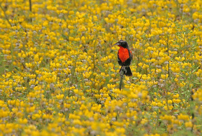 Khám Phá Phim Xen Đầu Tư Thông Minh Cho Tương Lai